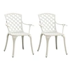 Image de Tuinstoelen 2 st gietaluminium wit315574