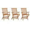 Image de Chaises de jardin pliables lot de 3 Bois de teck massif