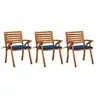 Image de Lot de 3 chaise exterieur H. 87 cm bleu en acacia