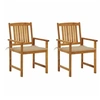 Image de 2x Chaises de Jardin avec Coussins Sièges de Patio Chaises de Terrasse Sièges d'Extérieur Chaises de Plage Camping 3061173