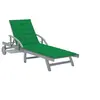 Image de Chaise longue de jardin avec coussin Bois d acacia solide