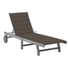 Image de Chaise longue de jardin avec coussin Gris Bois d acacia solide