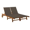 Image de Chaise longue de jardin 2 places avec coussins Acacia solide
