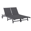 Image de Chaise longue de jardin 2 places avec coussin Gris Acacia