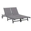 Image de Chaise longue de jardin 2 places avec coussin Gris Acacia