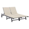 Image de Chaise longue de jardin 2 places avec coussin Gris Acacia