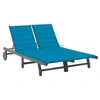Image de Chaise longue de jardin 2 places avec coussin Gris Acacia