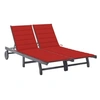 Image de Chaise longue de jardin 2 places avec coussin Gris Acacia