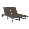 Image de Chaise longue de jardin 2 places avec coussin Gris Acacia