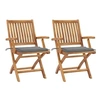 Image de Lot de 2 chaise exterieur pliable en bois massif H. 88 cm gris