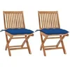 Image de Lot de 2 chaise H. 88 cm pliable en bois massif exterieur bleu