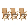 Image de Lot de 3 chaise H. 89 cm pliable en bois massif exterieur gris