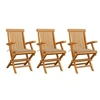 Image de Lot de 3 chaise exterieur pliable en bois massif H. 89 cm