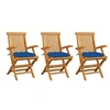 Image de Lot de 3 chaise exterieur pliable H. 89 cm en bois massif bleu