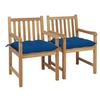 Image de Lot de 2 chaise exterieur non pliable H. 90 cm en bois massif bleu