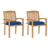 Image de Lot de 2 chaise exterieur empilable non pliable H. 90 cm en bois massif bleu