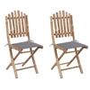 Image de Chaises pliables de jardin lot de 2 avec coussins Bambou