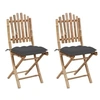 Image de Tuinstoelen 2 st inklapbaar met kussens bamboe3064002