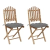 Image de Chaises pliables de jardin lot de 2 avec coussins Bambou