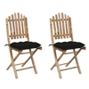 Image de Chaises pliables de jardin lot de 2 avec coussins Bambou