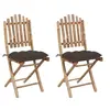 Image de Chaises pliables de jardin lot de 2 avec coussins Bambou