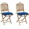 Image de Lot de 2 chaise en bambou pliable exterieur bleu