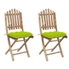 Image de Lot de 2 chaise en bambou pliable exterieur vert