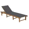 Image de Chaise Longue Pliable avec Coussin Transat de Patio Bain de Soleil d'Extérieur Chaise Longue de Terrasse Jardin Plage Bois d'Acacia Massif