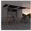 Image de Luifel handmatig uittrekbaar met LED 600x300 cm antracietkleur3068964