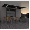 Image de Luifel handmatig uittrekbaar met LED 600x350 cm antracietkleur3069044