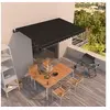 Image de Luifel automatisch uittrekbaar 450x350 cm antracietkleurig3069209