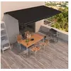 Image de Luifel handmatig uittrekbaar 600x350 cm antracietkleurig3069239
