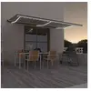 Image de Luifel handmatig uittrekbaar met LED 600x350 cm cràmekleurig3069242