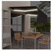 Image de Luifel handmatig uittrekbaar met rolgordijn LED 4x3 m antraciet3069424