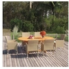 Image de Ensemble de Salle à Manger de Jardin 7 pcs Mobilier à Dîner de Terrasse Table et Chaises de Repas de Patio Extérieur 3070753