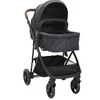 Image de Poussette pour bébé 2 en 1 Anthracite et noir Acier