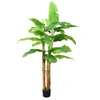Image de Bananier artificiel avec pot 300 cm Vert
