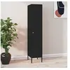 Image de Armoire à casiers Noir 35x46x180 cm Acier
