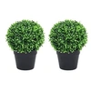 Image de 2x Plantes de Buis Artificiel avec Pots Boule Fausse Plante Réaliste Décor Floral Décoration d'Extérieur Jardin Salon Vert 32 cm