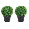 Image de Kunstplanten met pot 2 st buxus bolvorming 27 cm groen336520