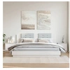 Image de Tables de chevet 2 pcs Blanc 40x30,5x40 cm Bois de pin massif