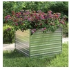 Image de Lit surélevé de jardin 100x100x77 cm Acier galvanisé Argenté