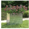 Image de Lit surélevé de jardin 100x40x77 cm Acier galvanisé Argenté