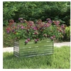 Image de Lit surélevé de jardin 100x40x45 cm Acier galvanisé Argenté