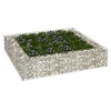 Image de Lit surélevé à gabion Acier galvanisé 100x100x20 cm