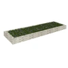 Image de Lit surélevé à gabion Acier galvanisé 300x100x20 cm