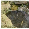 Image de Vijverbeschermers 40 st polypropeen zwart318303