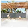 Image de Windscherm uittrekbaar 160x1200 cm antracietkleurig318068