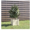 Image de Jardinière d extérieur Blanc 31x31x31 cm Bois de pin massif