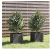 Image de Jardinières d extérieur 2 pcs Gris 31x31x31 cm Bois de pin